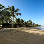 Praia dos Coqueiros | Turismo em Trancoso, Bahia