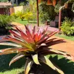 Área Comum | Pousada Ilumina